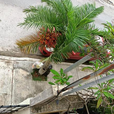 Colibri Apartment Playa del Carmen Exterior photo