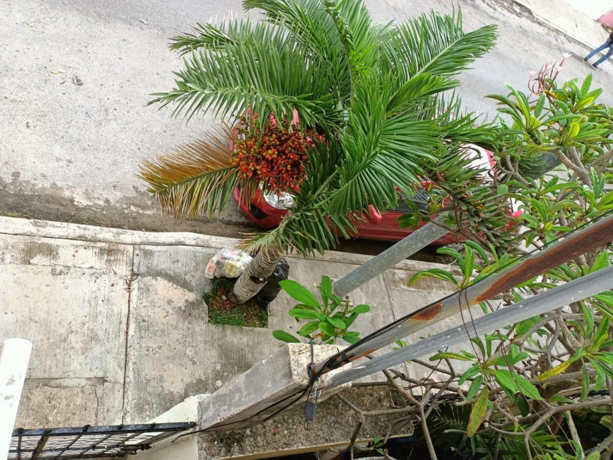 Colibri Apartment Playa del Carmen Exterior photo
